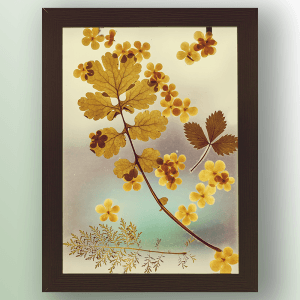 Artshield Heatset Overlaminating Films